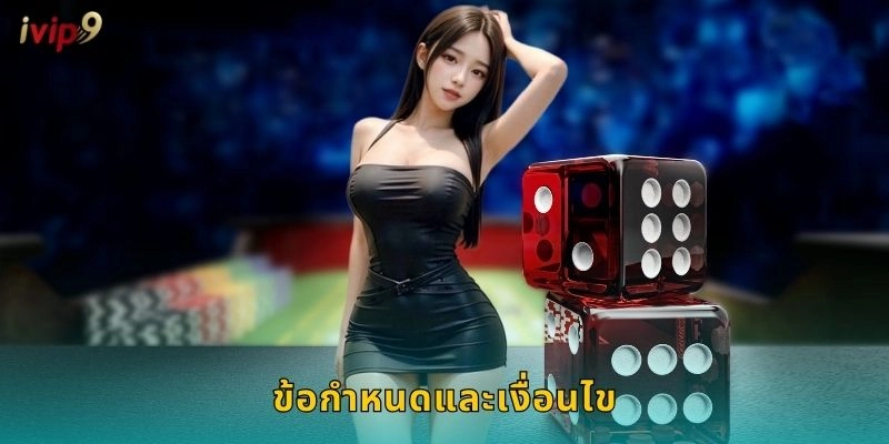 ข้อกำหนดและเงื่อนไข IVIP9 ที่ควรรู้ก่อนเล่น