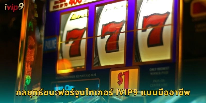 กลยุทธ์ชนะฟอร์จูนไทเกอร์ IVIP9 แบบมืออาชีพ