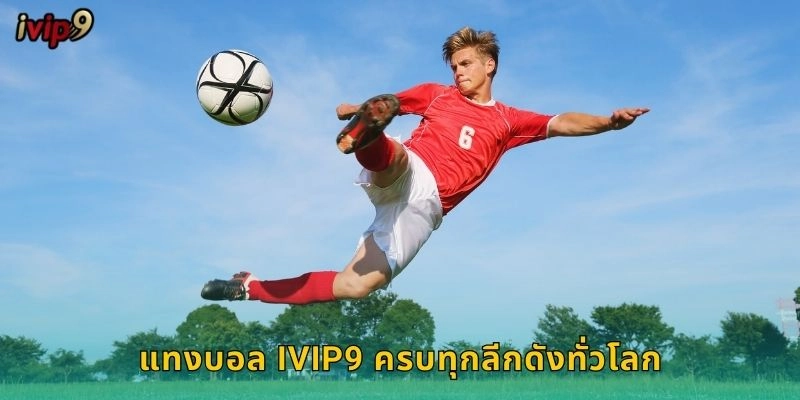 แทงบอล IVIP9 ครบทุกลีกดังทั่วโลก
