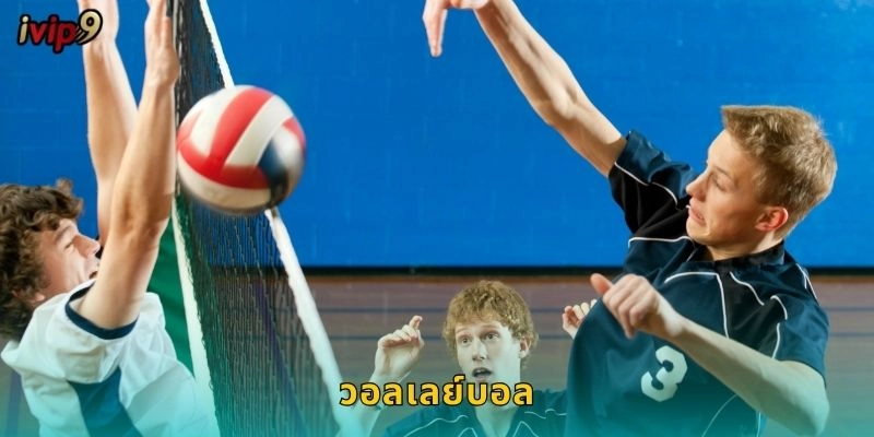 วอลเลย์บอล IVIP9 เดิมพันสุดตื่นเต้น